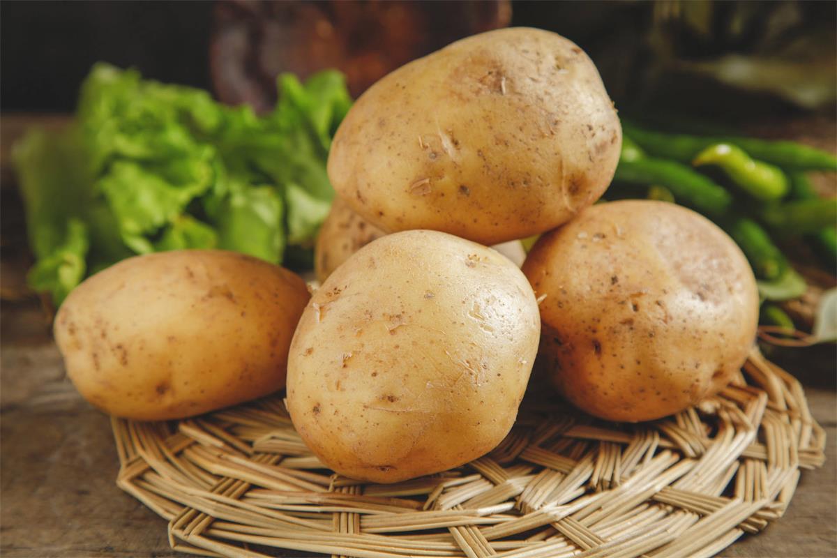土豆的营养价值图片素材-编号15472178-图行天下