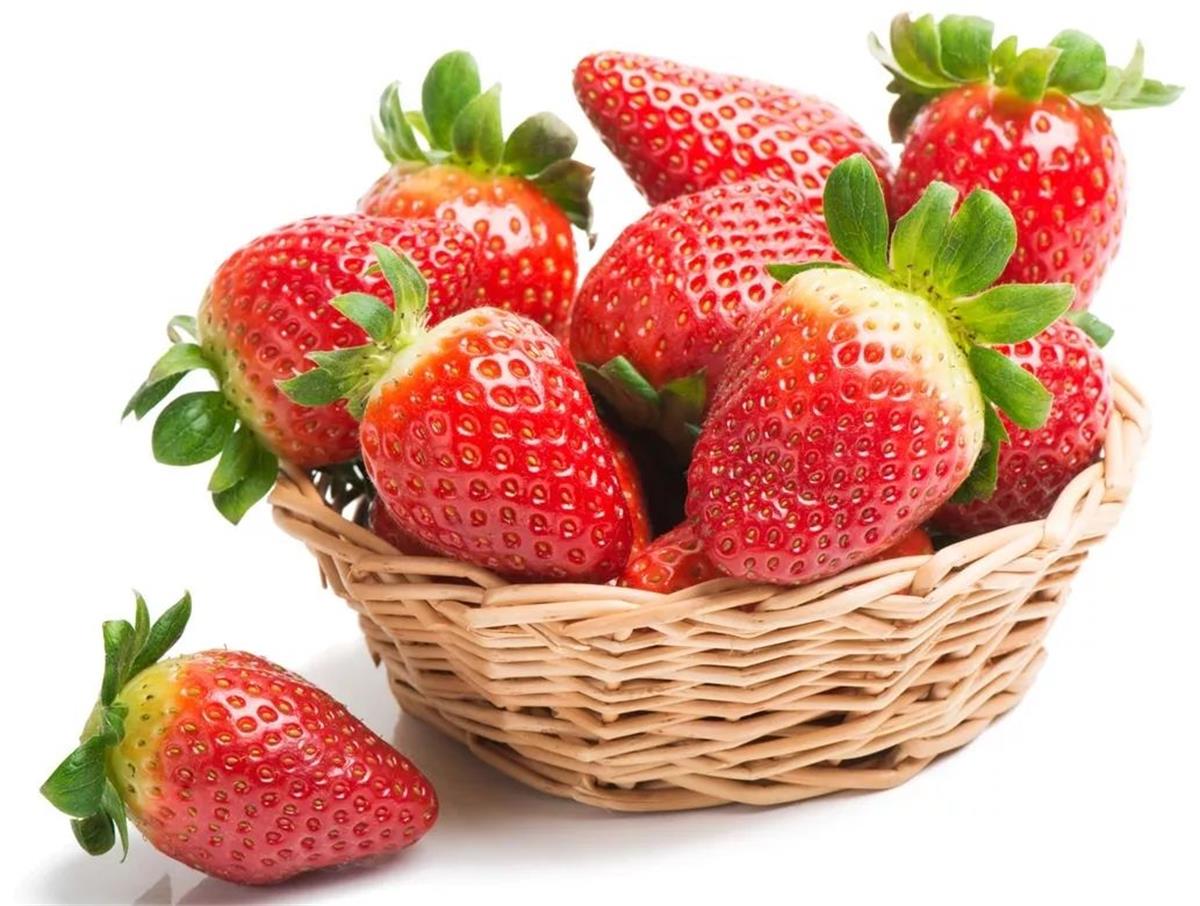 草莓4.jpeg