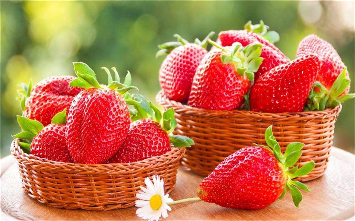草莓5.jpeg