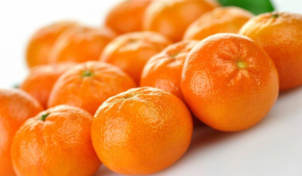 橘子9.jpeg
